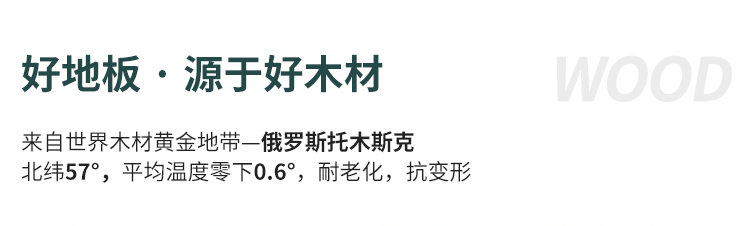 廣西室內(nèi)運動木地板施工隊